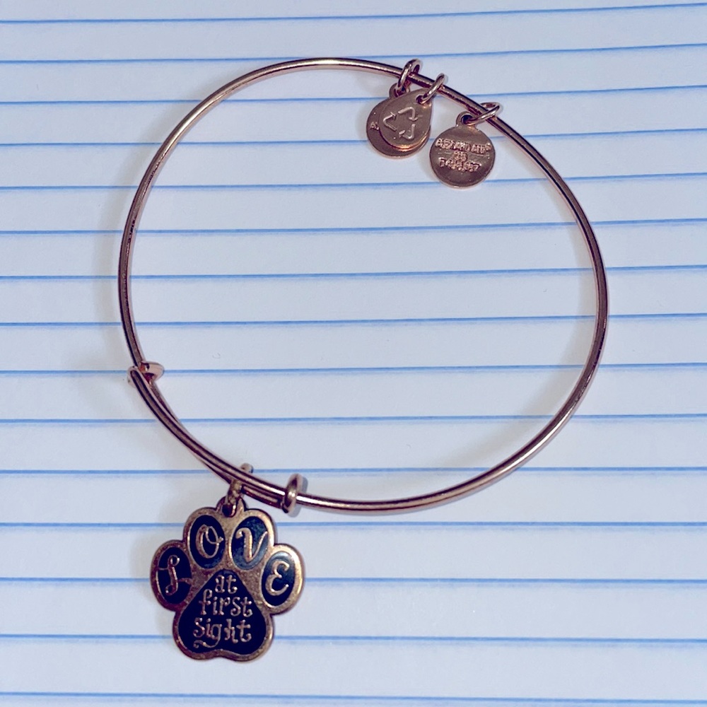 Alex and Ani bracelet